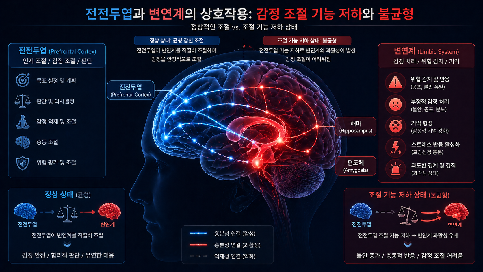 공황장애 신경계 감정 조절 기능 저하와 뇌 기능 변화 이미지