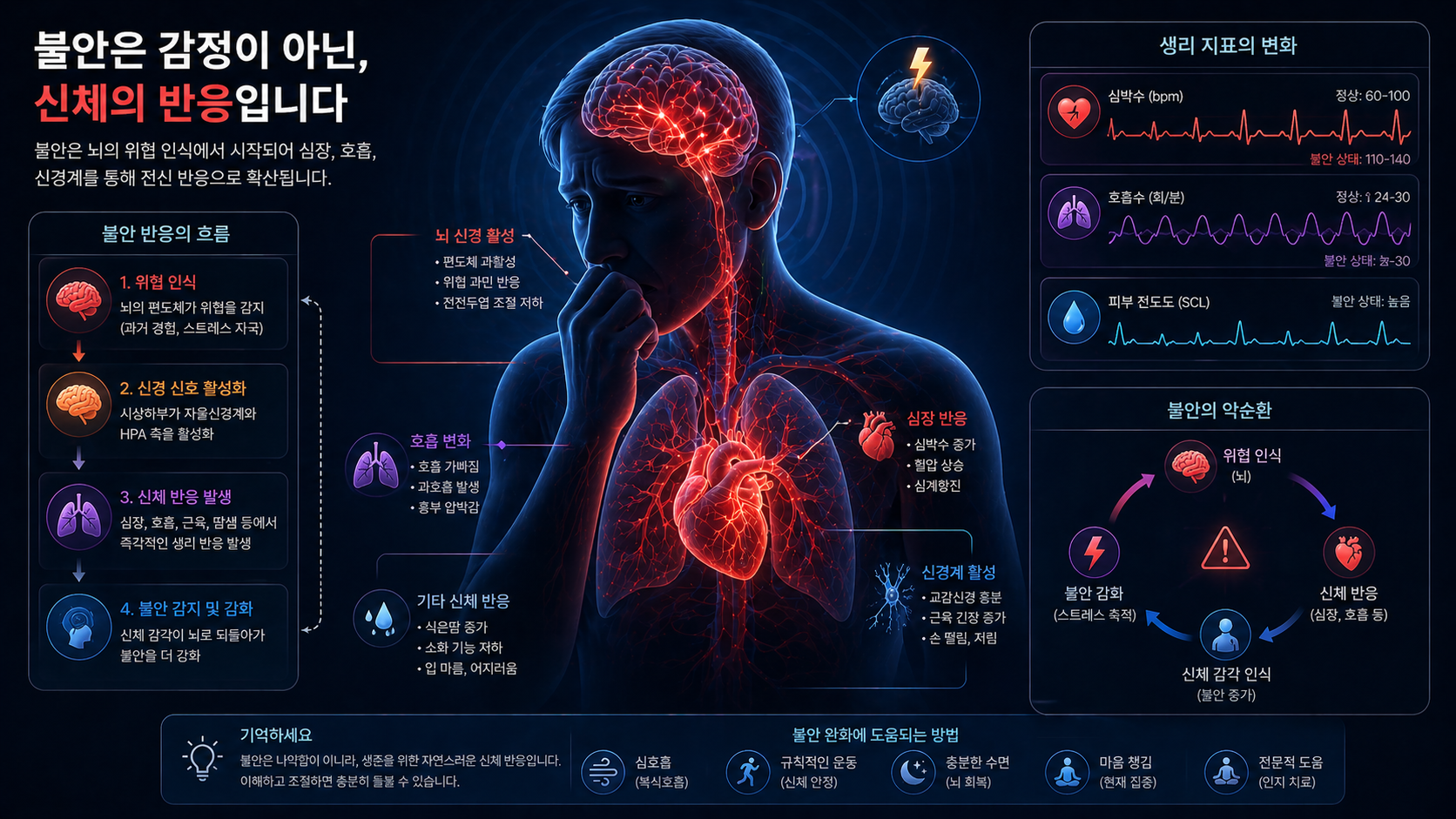 공황장애 신경계 불안과 신체 반응 연결 이미지