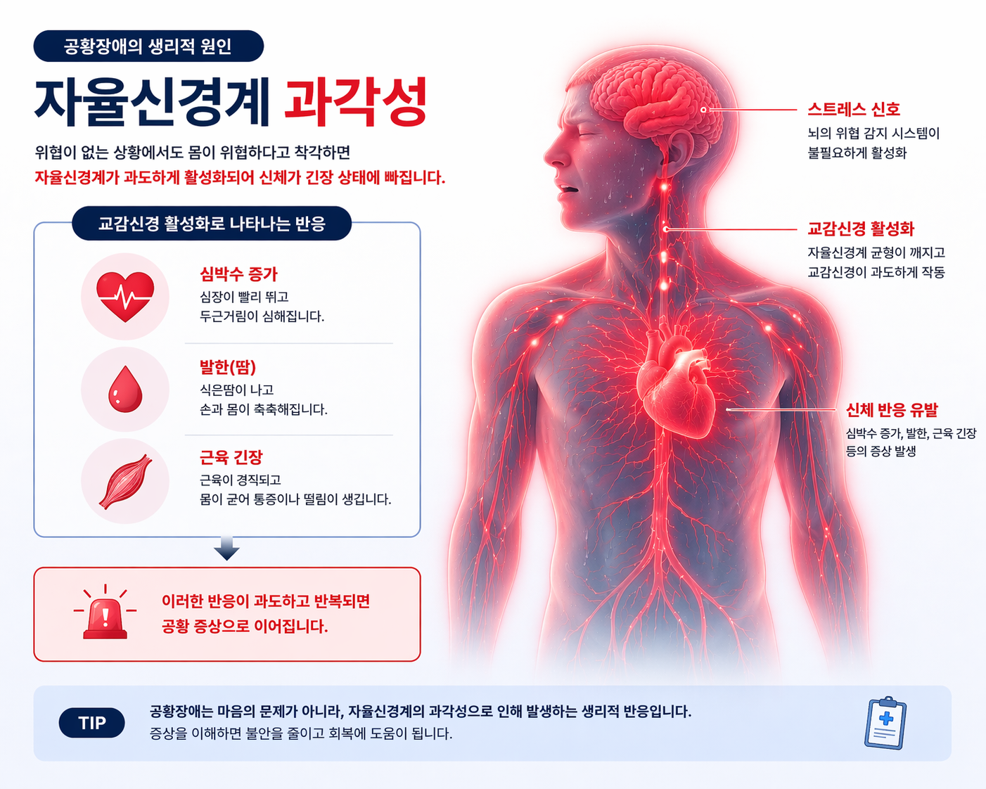 공황장애 자율신경계 과각성 반응을 설명하는 이미지