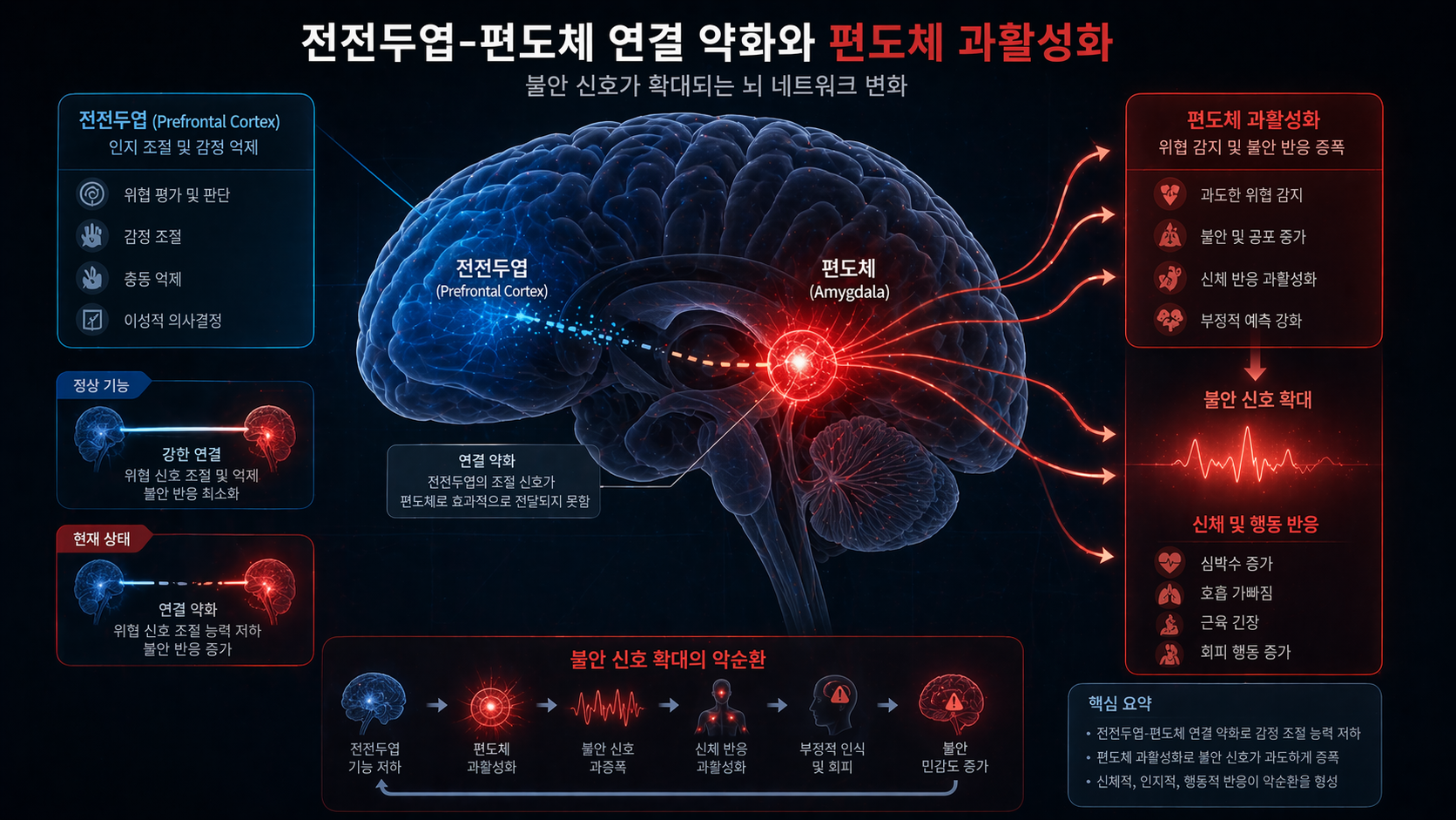 공황장애 호흡과 전전두엽 편도체 연결 변화 이미지