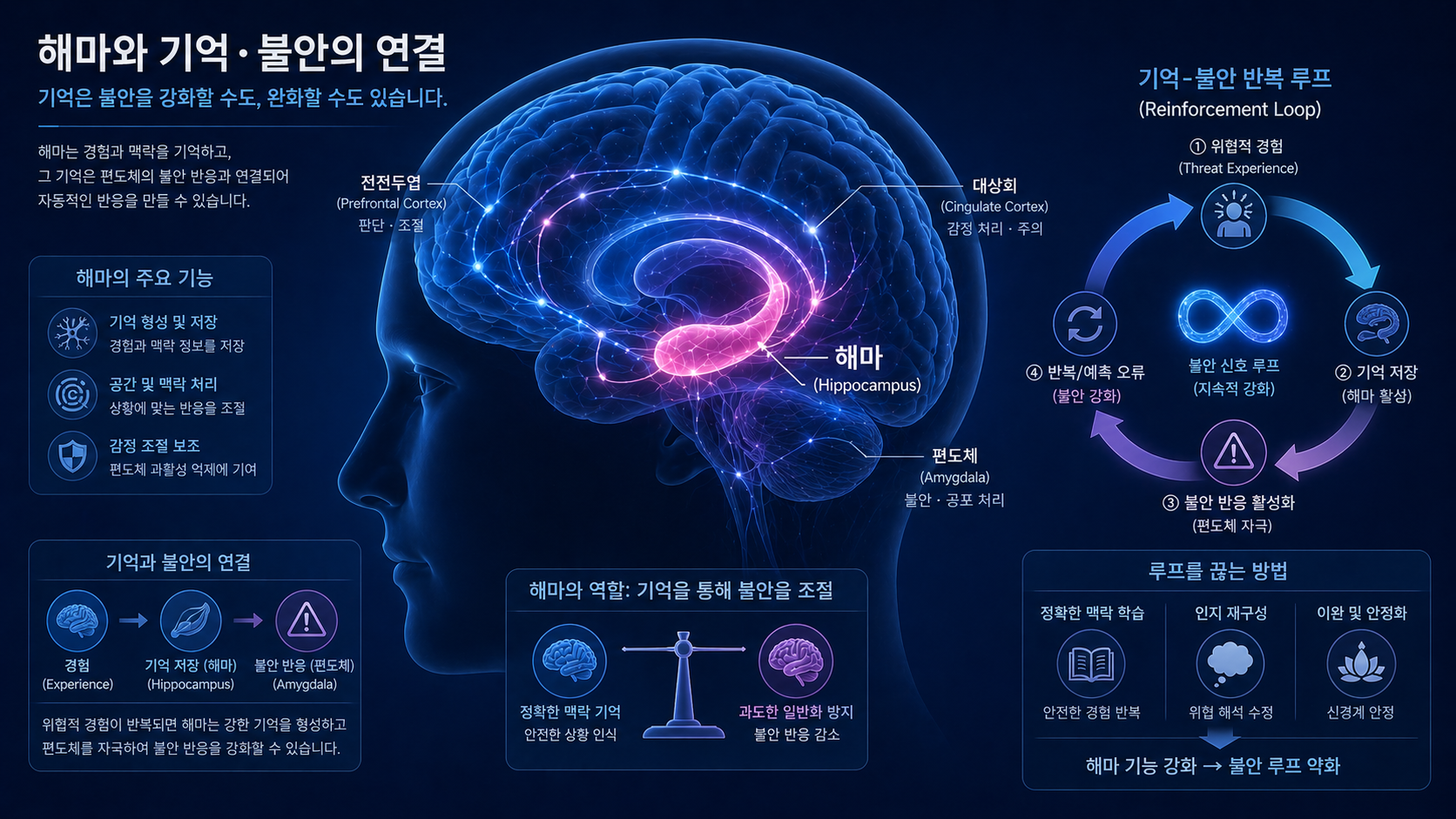 공황장애 신경계 해마 기능 변화와 불안 기억 이미지