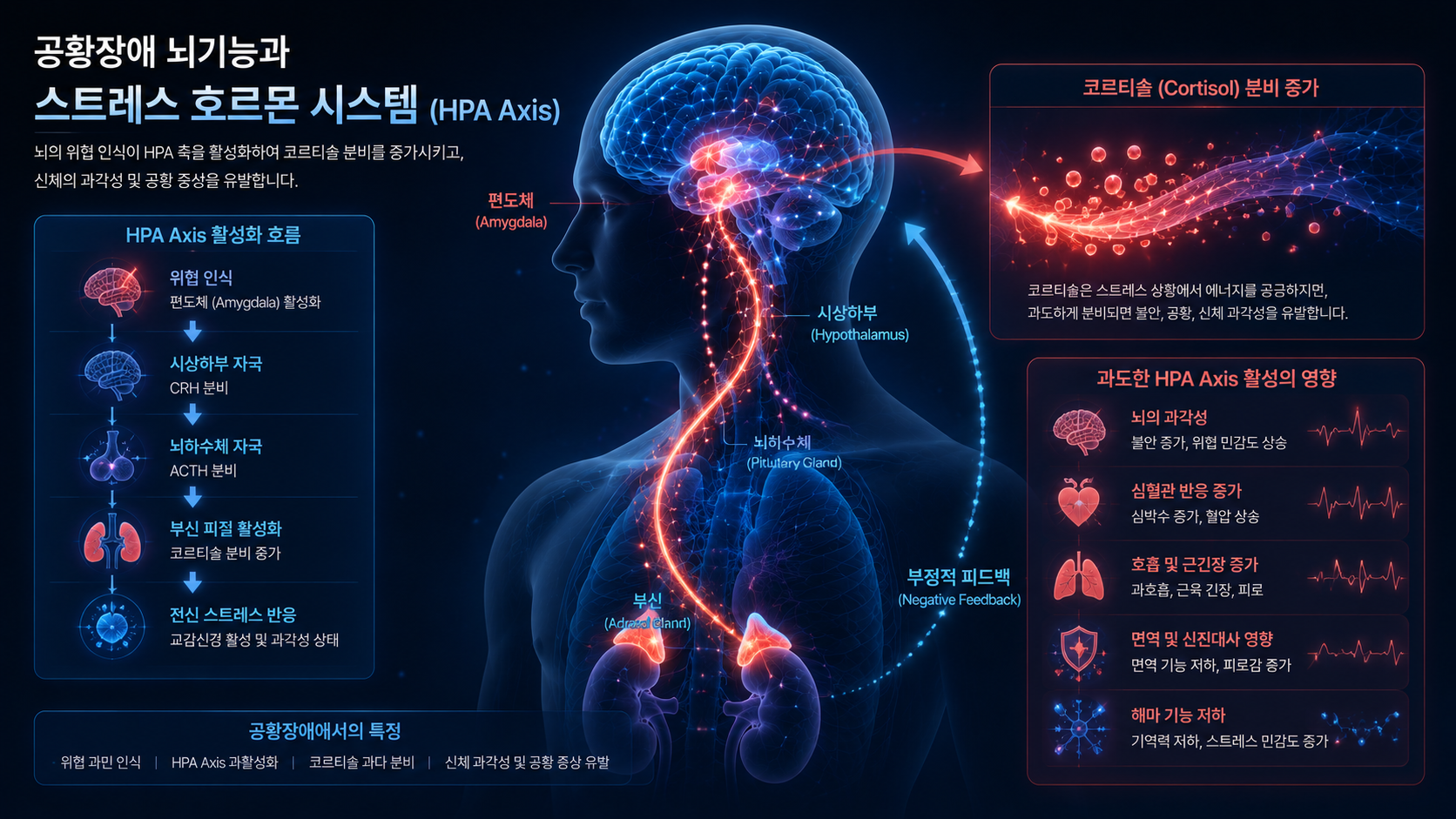 공황장애 뇌기능과 스트레스 호르몬 시스템 HPA axis 반응을 시각화한 이미지