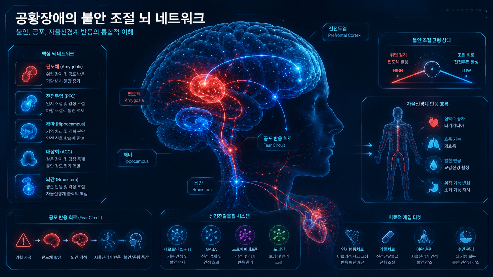 공황장애 뇌기능과 불안 조절 뇌 네트워크 및 신경 연결 구조를 표현한 디지털 의료 이미지