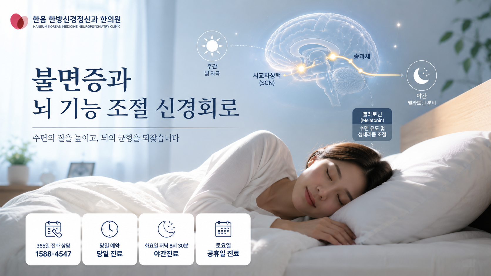 불면증 수면 조절 시스템과 뇌 기능 변화를 설명하는 이미지