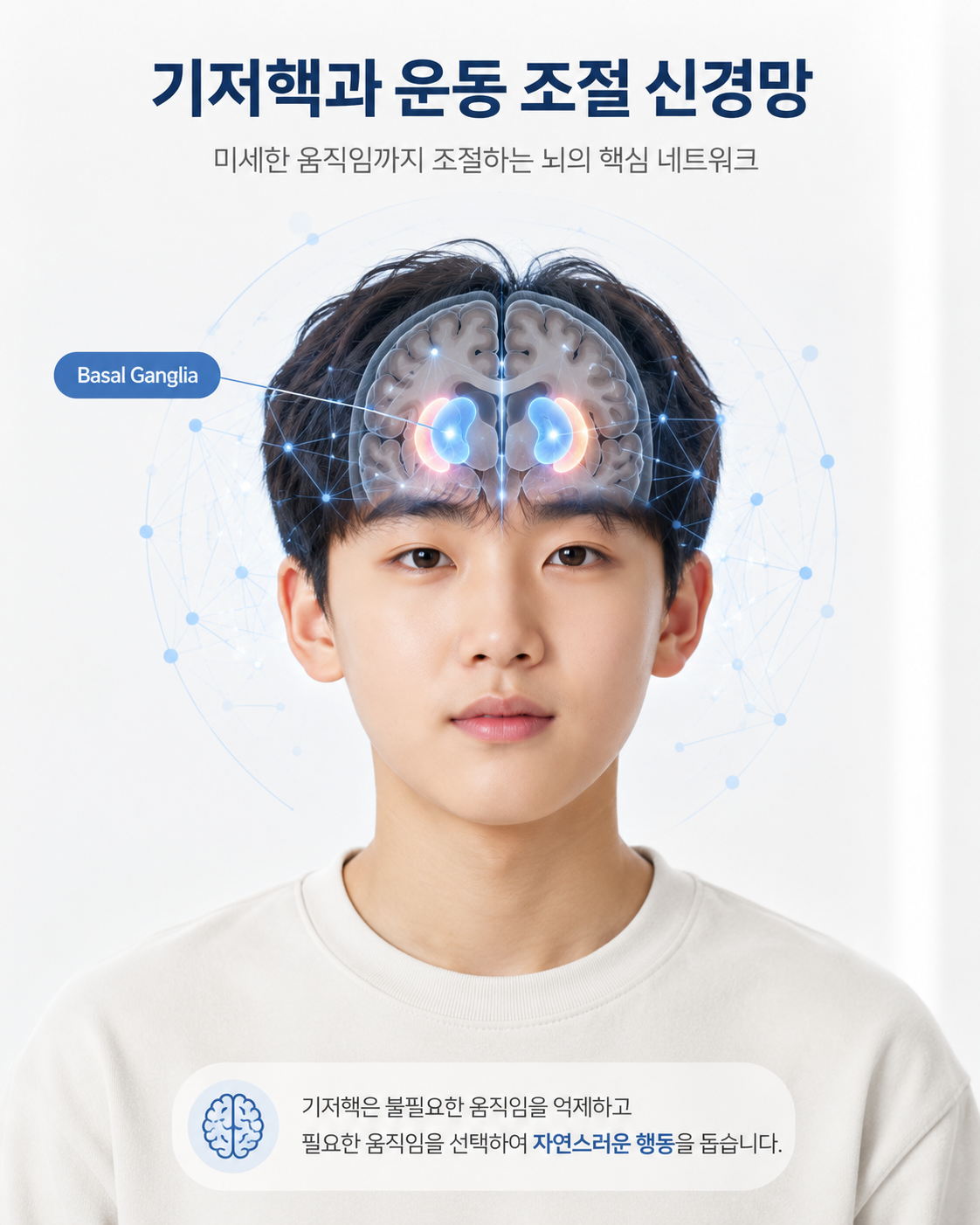 틱장애 뇌기능과 기저핵 운동 조절 신경회로를 표현한 한국인 청소년 이미지