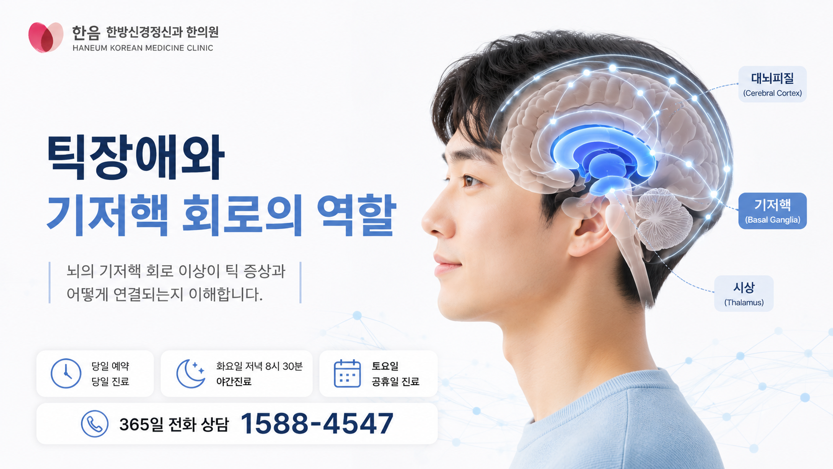 틱장애 기저핵 운동 조절 회로를 설명하는 이미지