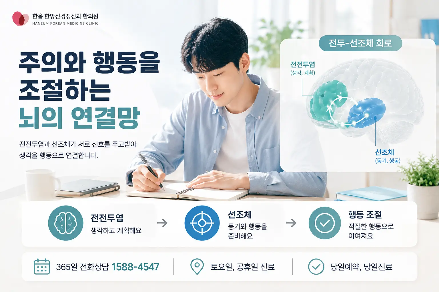 ADHD 전전두엽과 전두 선조체 회로의 기능을 설명하는 이미지