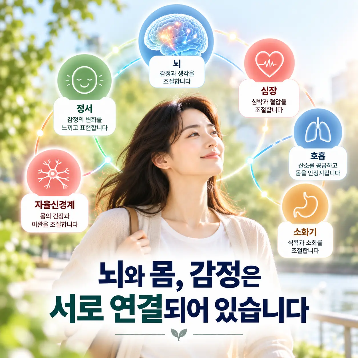 우울증 자율신경과 뇌 정서 신체 기능의 상호 연결을 표현한 이미지