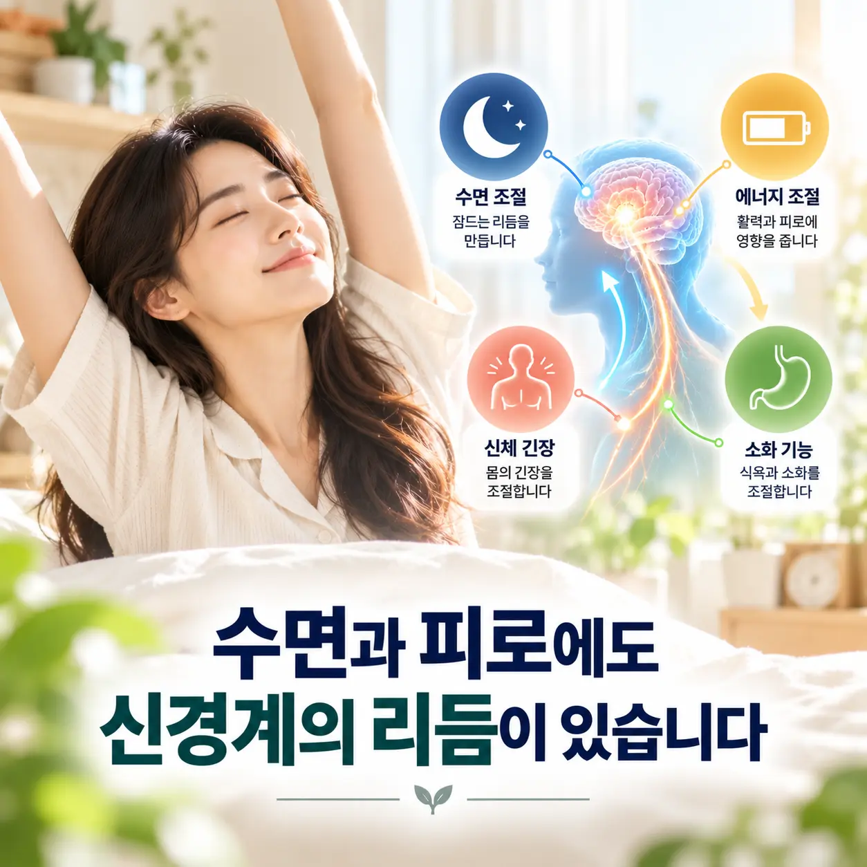 우울증 자율신경과 수면 피로 신체 긴장의 관계를 표현한 한국인 모델